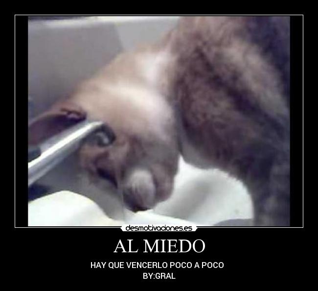 AL MIEDO - HAY QUE VENCERLO POCO A POCO
BY:GRAL
