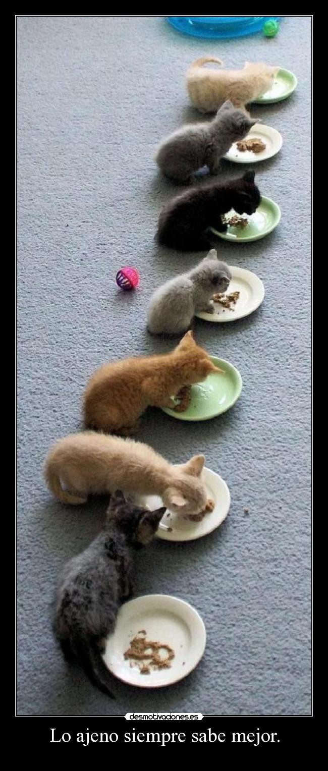 Lo ajeno siempre sabe mejor. - 