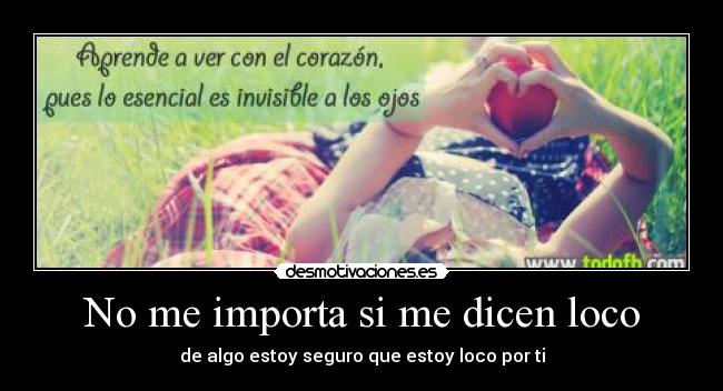 No me importa si me dicen loco -