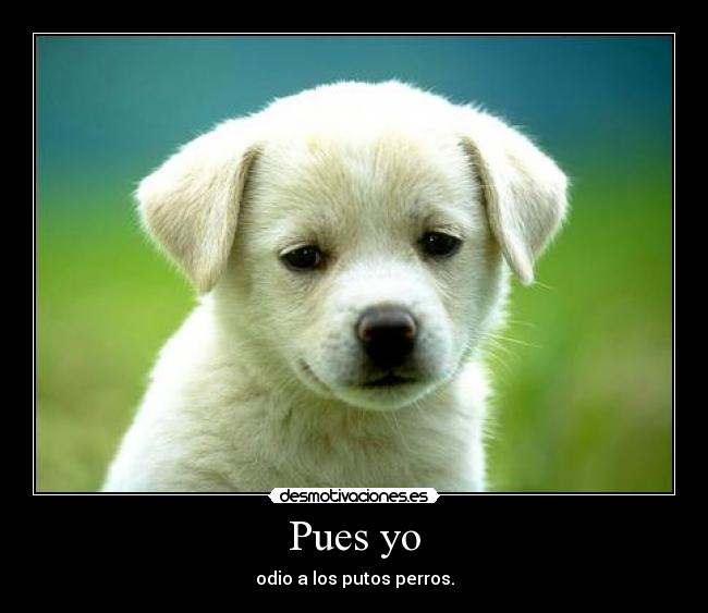 Pues yo - odio a los putos perros.
