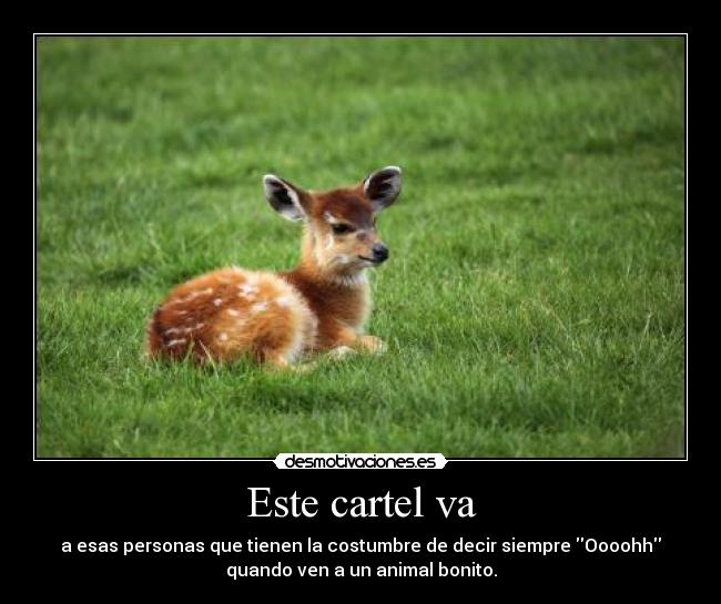 Este cartel va - a esas personas que tienen la costumbre de decir siempre Oooohh
quando ven a un animal bonito.