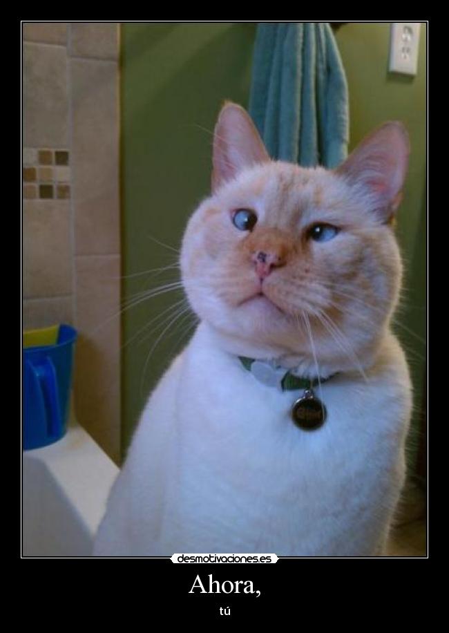 Ahora, - tú