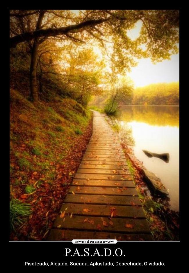 P.A.S.A.D.O. - Pisoteado, Alejado, Sacada, Aplastado, Desechado, Olvidado.