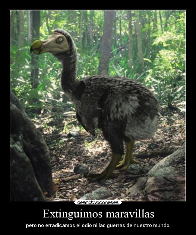 Extinguimos maravillas -