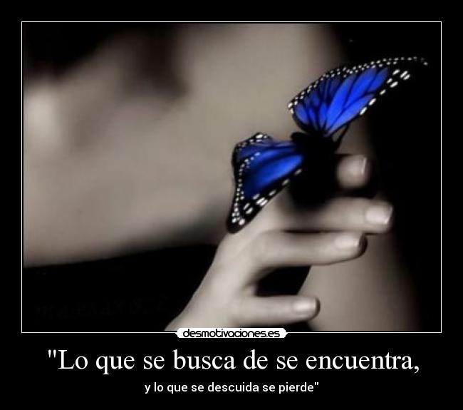 Lo que se busca de se encuentra, -