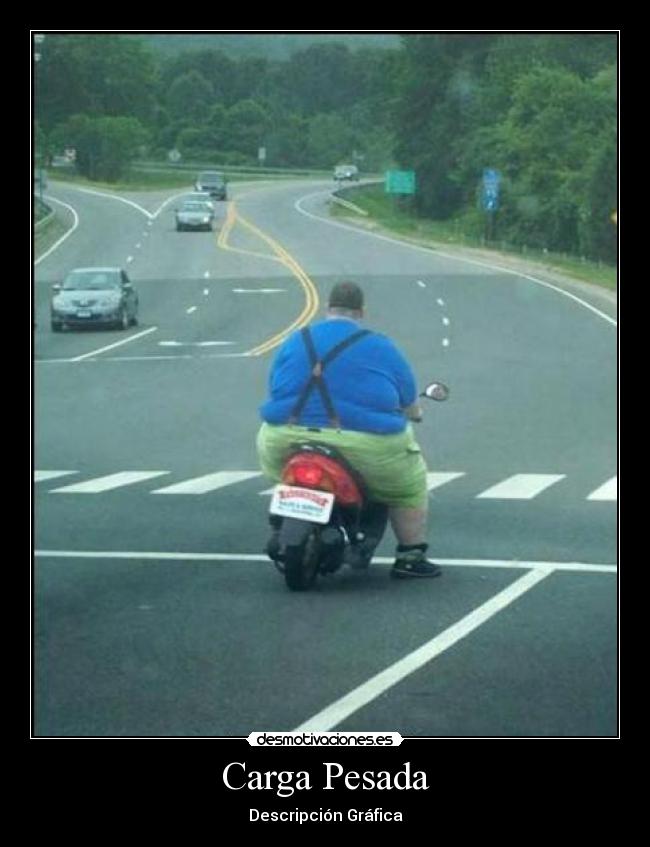 Carga Pesada - Descripción Gráfica