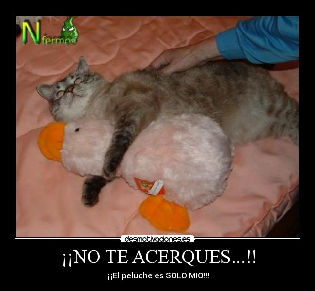 ¡¡NO TE ACERQUES...!! -