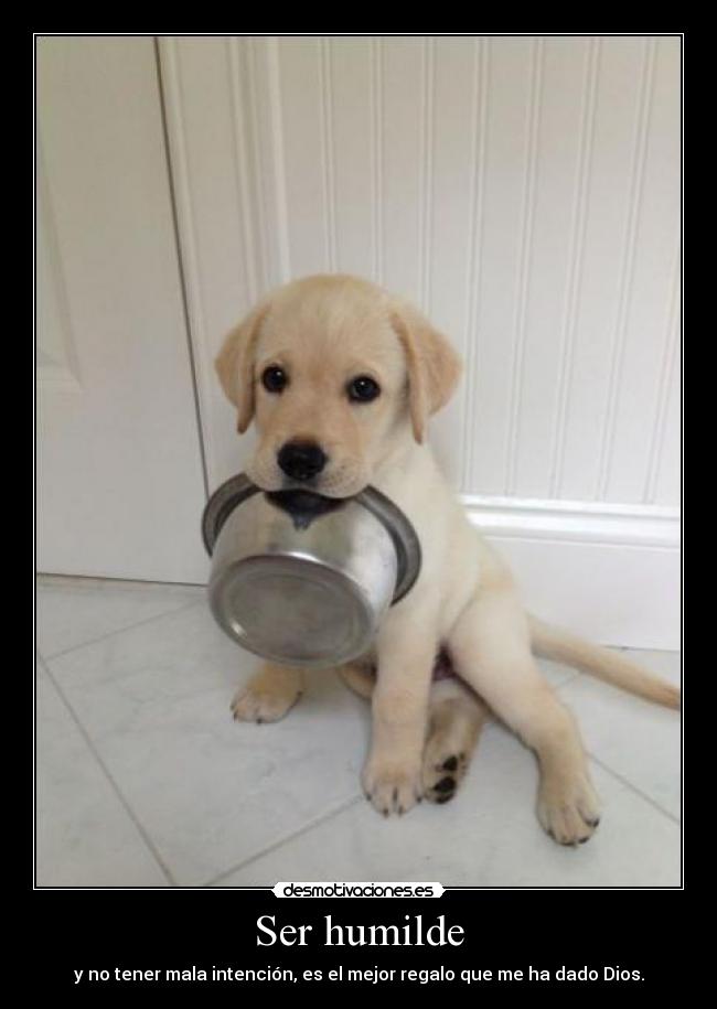 Ser humilde - y no tener mala intención, es el mejor regalo que me ha dado Dios.