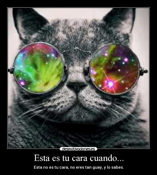 Esta es tu cara cuando... - 