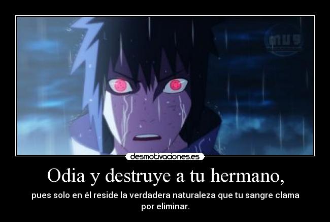 Odia y destruye a tu hermano, - pues solo en él reside la verdadera naturaleza que tu sangre clama por eliminar.