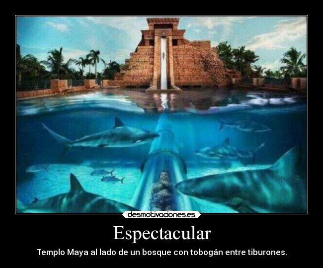 Espectacular - Templo Maya al lado de un bosque con tobogán entre tiburones.