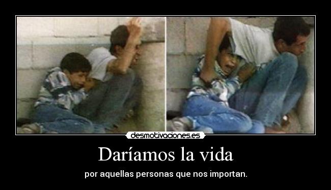 Daríamos la vida - 