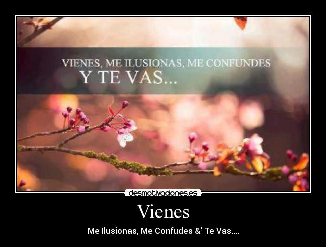 Vienes - Me Ilusionas, Me Confudes & Te Vas....