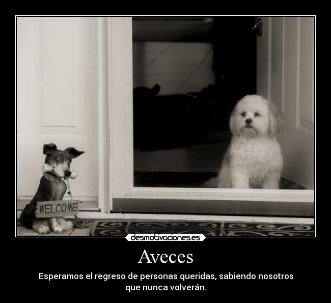 Aveces -