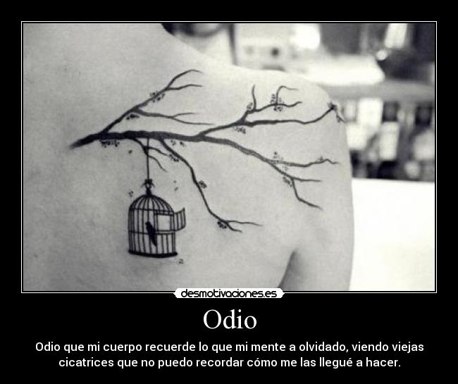 carteles odio dolor amnesia recuerdos desmotivaciones