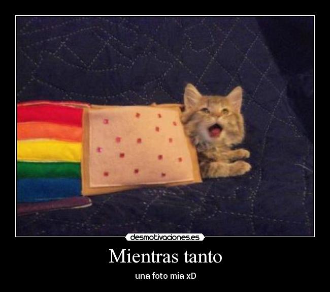 Mientras tanto - una foto mia xD