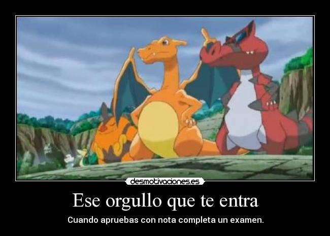 carteles pokemon anime anime otaku examen pokemon oshawott snivy pignite charizard krookodile orgullo aprob desmotivaciones