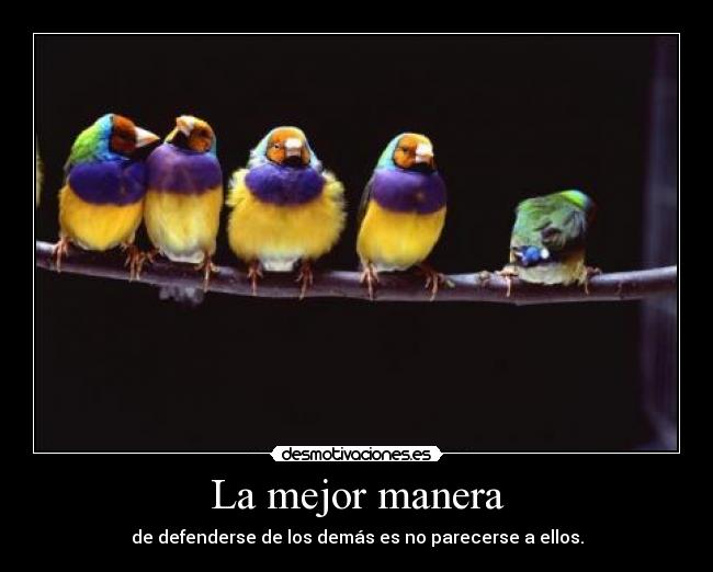 carteles ser unico raro anormal defendamonos pajaros desmotivaciones