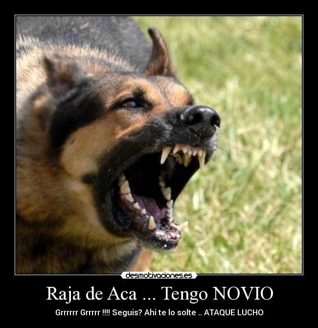 Raja de Aca ... Tengo NOVIO - Grrrrrr Grrrrr !!!! Seguis? Ahi te lo solte .. ATAQUE LUCHO