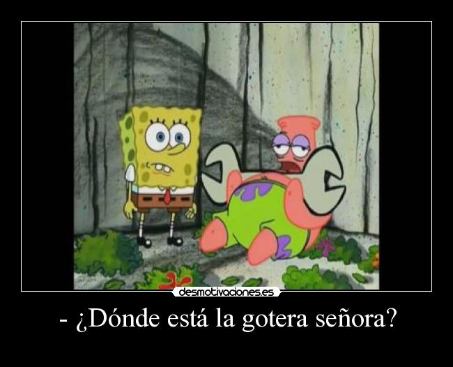 - ¿Dónde está la gotera señora? -