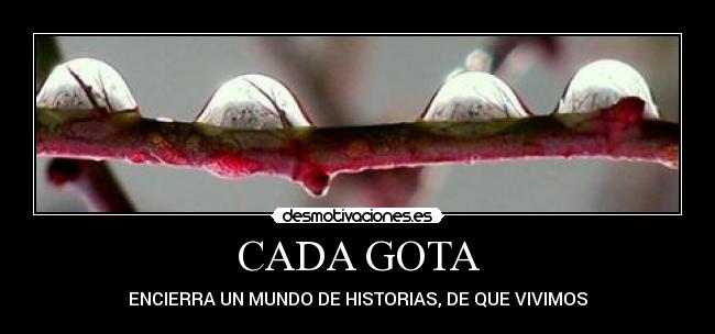 CADA GOTA - ENCIERRA UN MUNDO DE HISTORIAS, DE QUE VIVIMOS