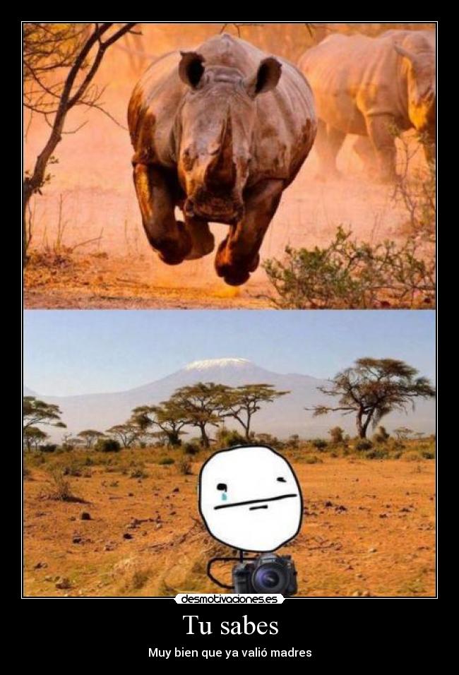 Tu sabes - Muy bien que ya valió madres