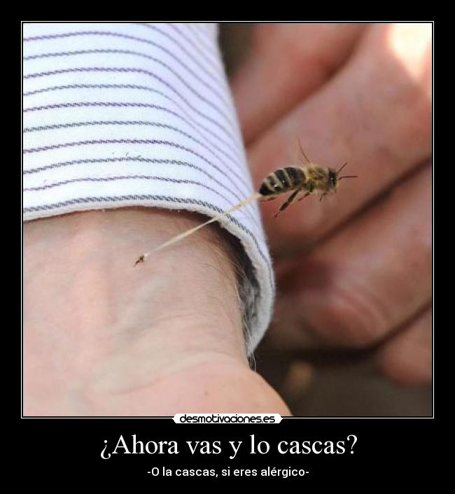 ¿Ahora vas y lo cascas? - -O la cascas, si eres alérgico-