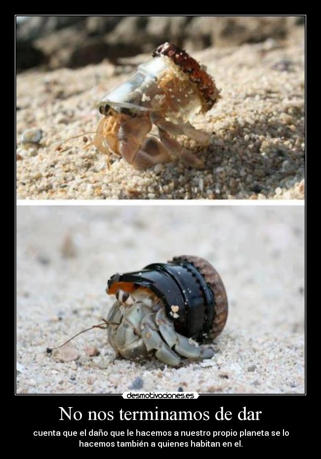No nos terminamos de dar - cuenta que el daño que le hacemos a nuestro propio planeta se lo
hacemos también a quienes habitan en el.