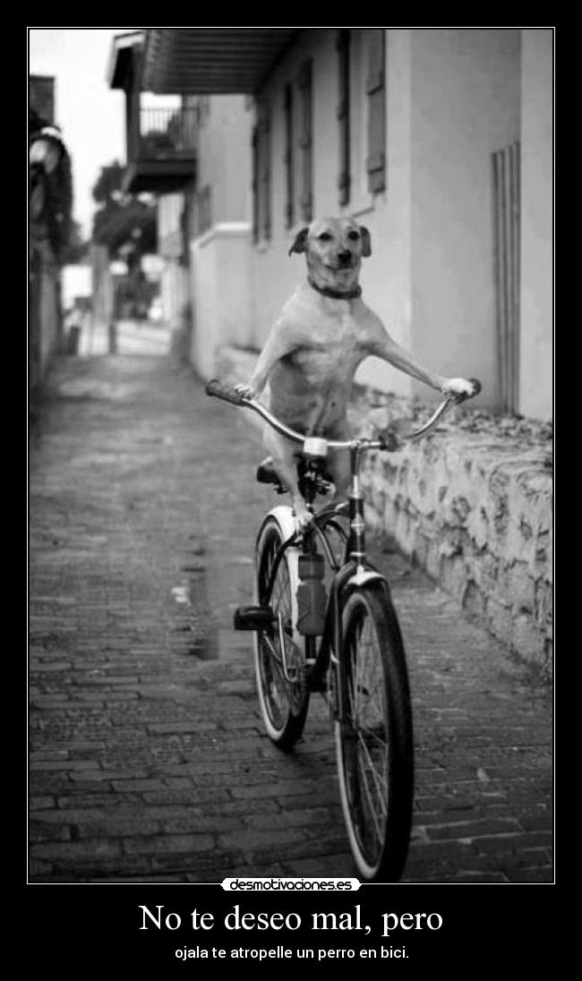 No te deseo mal, pero - 