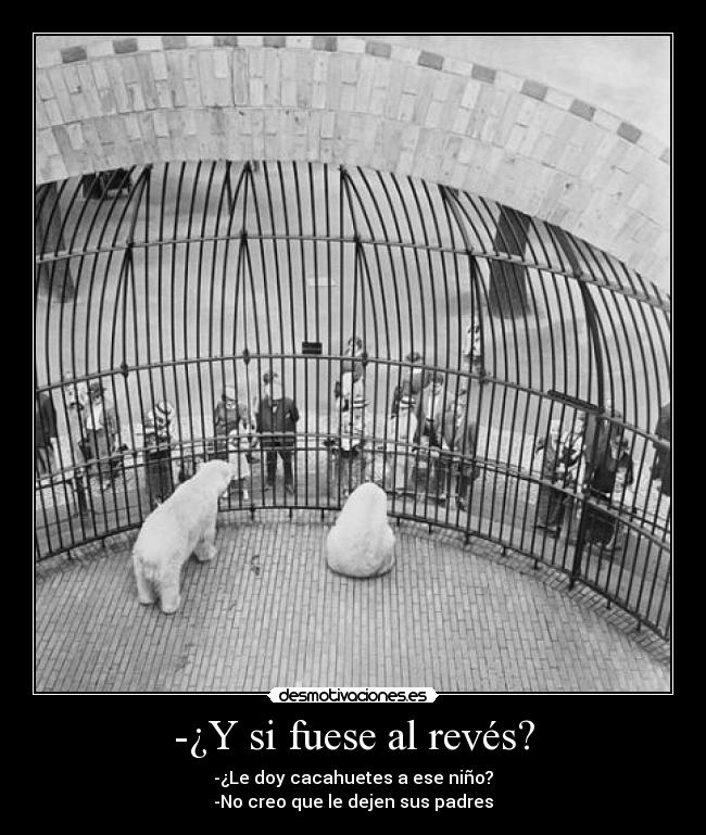 -¿Y si fuese al revés? - -¿Le doy cacahuetes a ese niño?
-No creo que le dejen sus padres