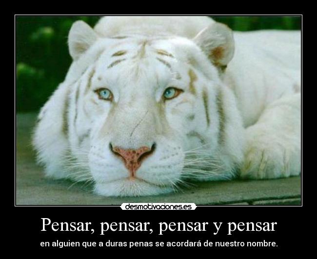 Pensar, pensar, pensar y pensar - en alguien que a duras penas se acordará de nuestro nombre.