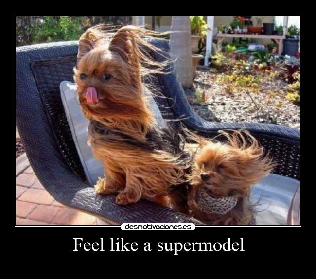 Feel like a supermodel -
