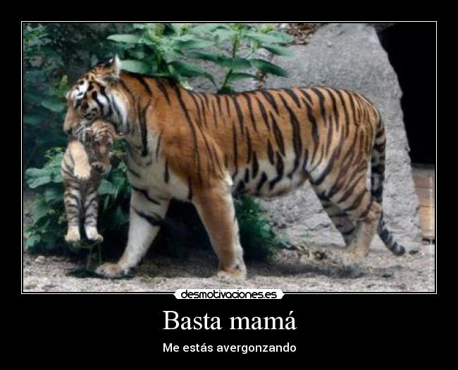Basta mamá - 