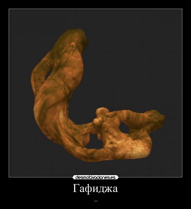 Гафиджа - ...