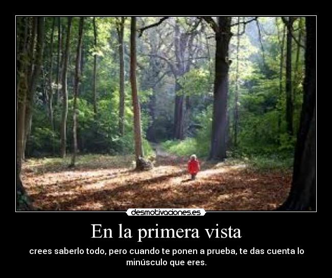 En la primera vista - crees saberlo todo, pero cuando te ponen a prueba, te das cuenta lo
minúsculo que eres.