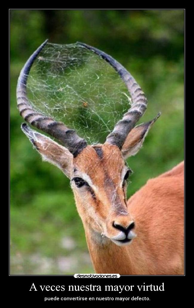 A veces nuestra mayor virtud - puede convertirse en nuestro mayor defecto.