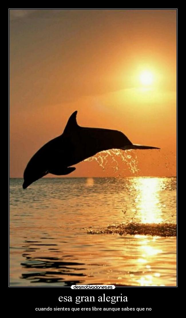 carteles alegria verdad libertad desmotivaciones