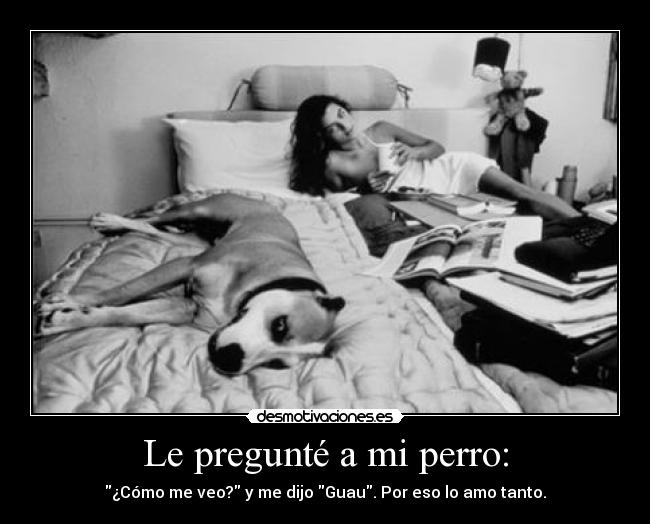 Le pregunté a mi perro: -