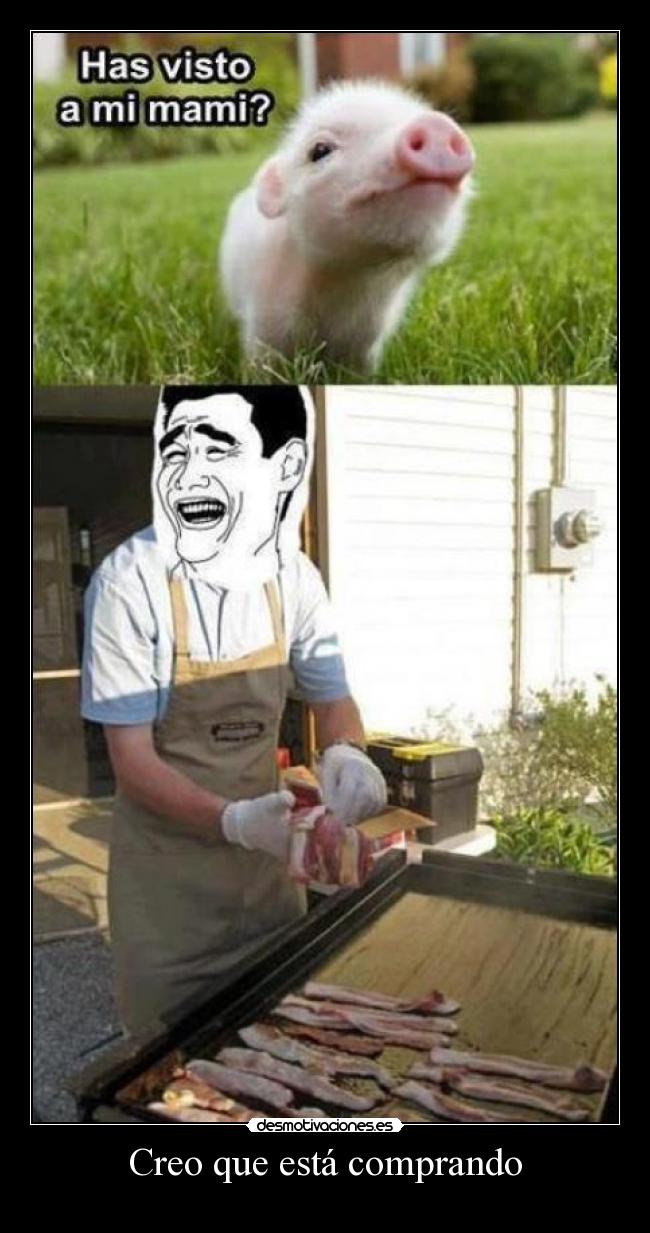 Creo que está comprando - 