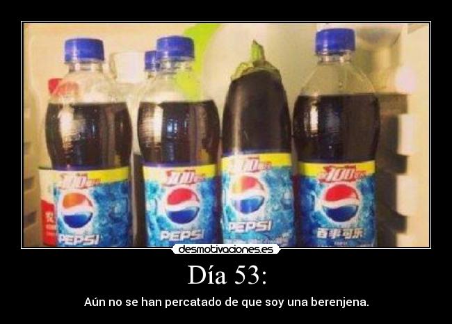 Día 53: - 