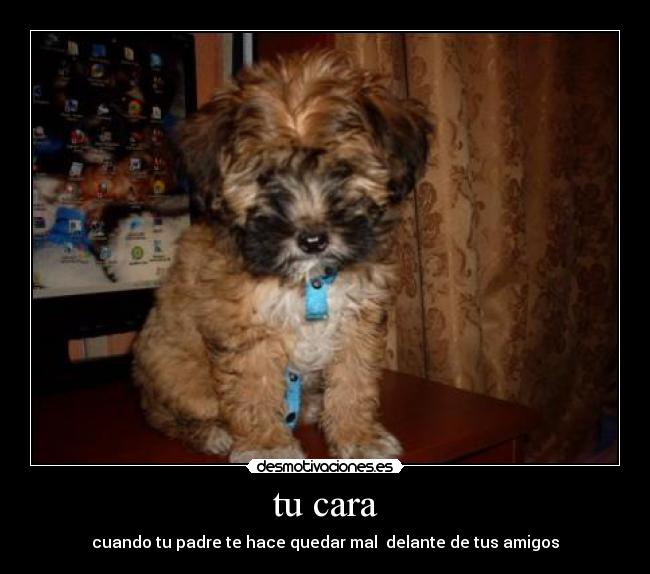 tu cara - cuando tu padre te hace quedar mal delante de tus amigos