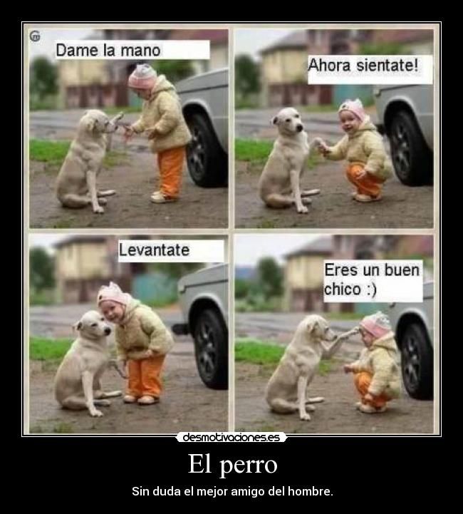 El perro -