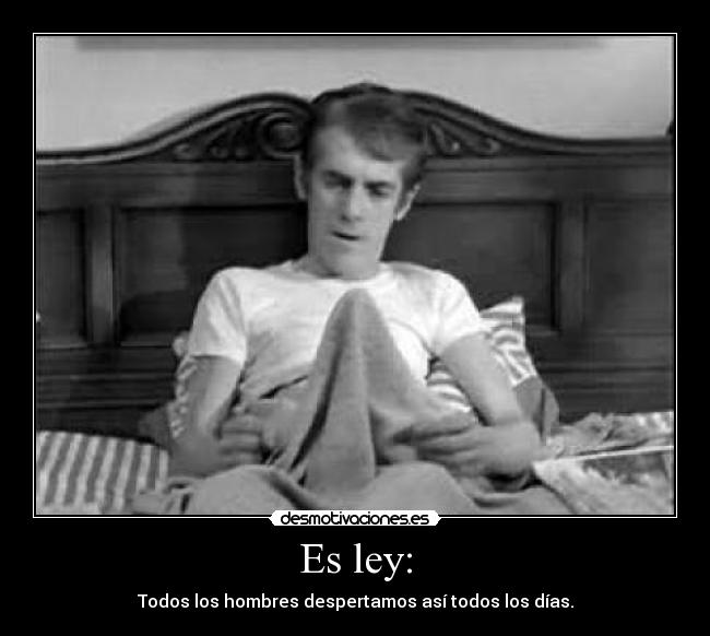 Es ley: - Todos los hombres despertamos así todos los días.