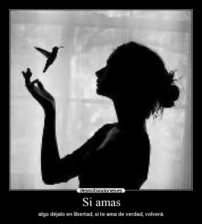 Si amas -