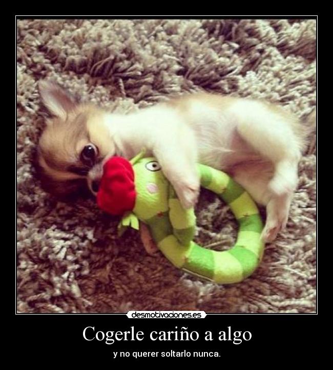 carteles quieremecuandomenosmelomerezcaporqueseracuandomaslonecesite quiereme lott and you muak piensal desmotivaciones