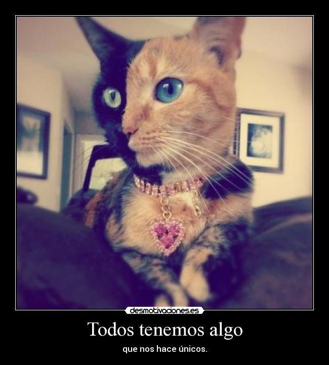 Todos tenemos algo - que nos hace únicos.