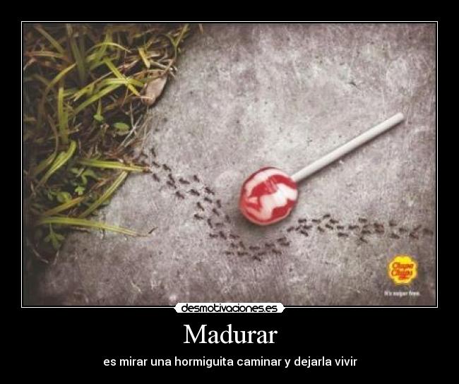 Madurar - es mirar una hormiguita caminar y dejarla vivir