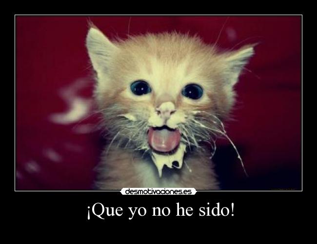 ¡Que yo no he sido! -