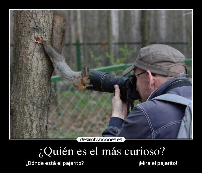 ¿Quién es el más curioso? - 