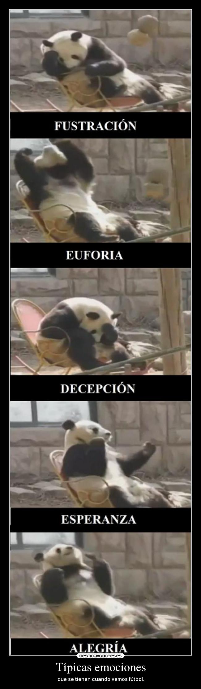 Típicas emociones - que se tienen cuando vemos fútbol.